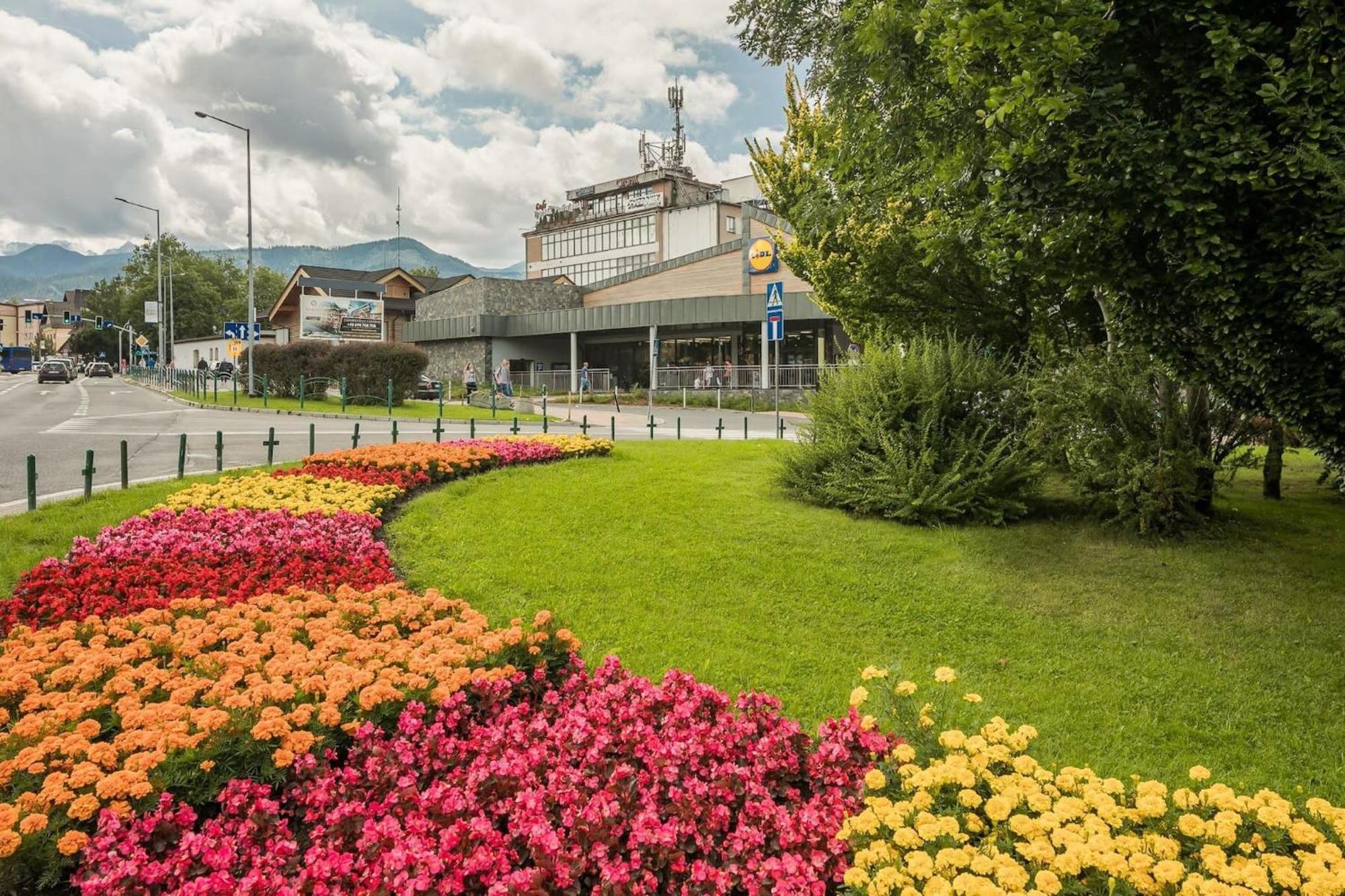 Rent Like Home - Zborowskiego 1 Zakopane Exterior foto